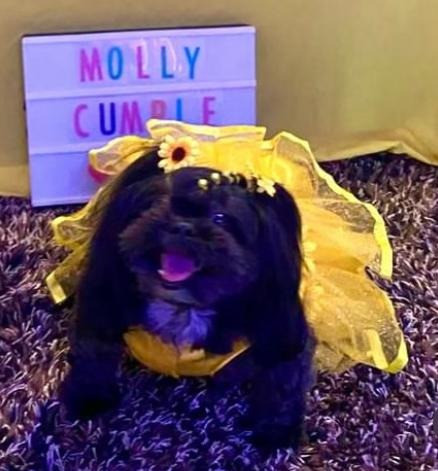 MOLLY